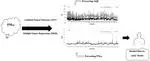 Assessing the effectiveness of artificial neural networks (ANN) and multiple linear regressions (MLR) in forcasting AQI and PM10 and evaluating health impacts through AirQ+ (case study: Tehran)